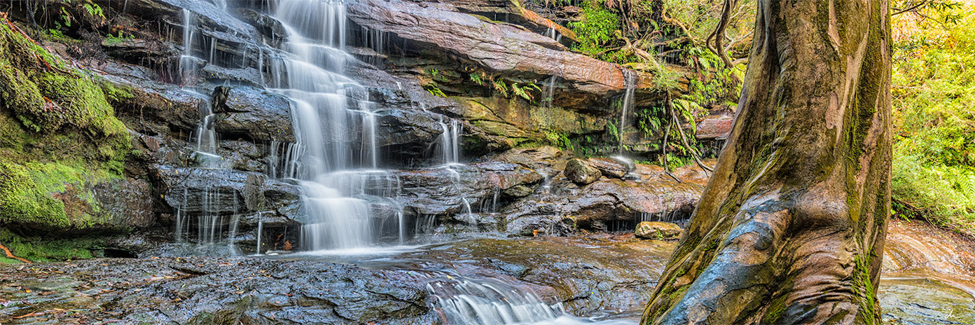 Rainforests & Waterfalls