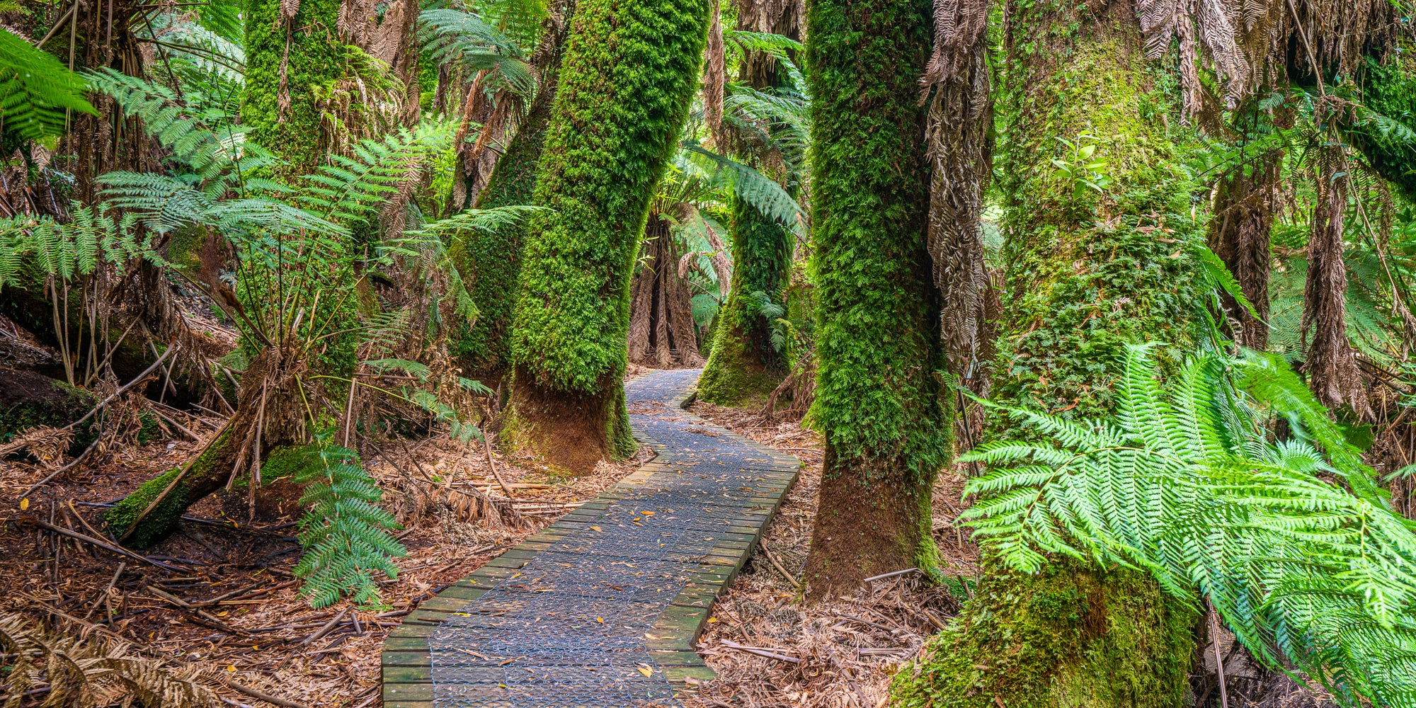 Tasmania