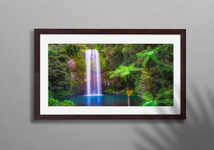 Millaa Millaa Falls Ferns