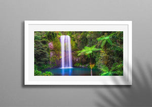 Millaa Millaa Falls Ferns