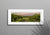 Hunter Valley Vineyards