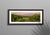 Hunter Valley Vineyards
