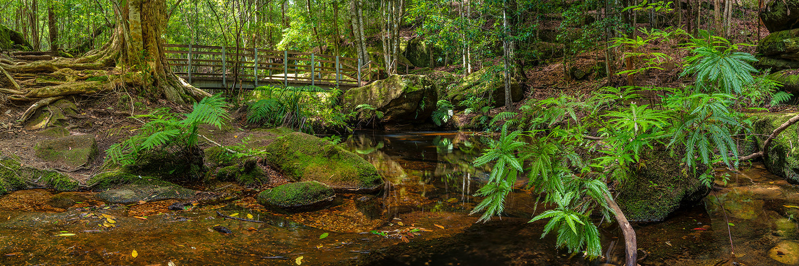 Bridging Boarding House Dam