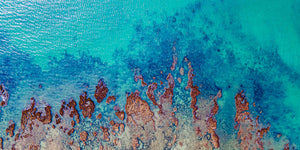 Cape Tribulation Reef
