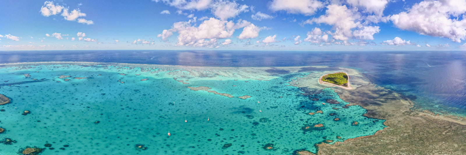 The Heart of Musgrave