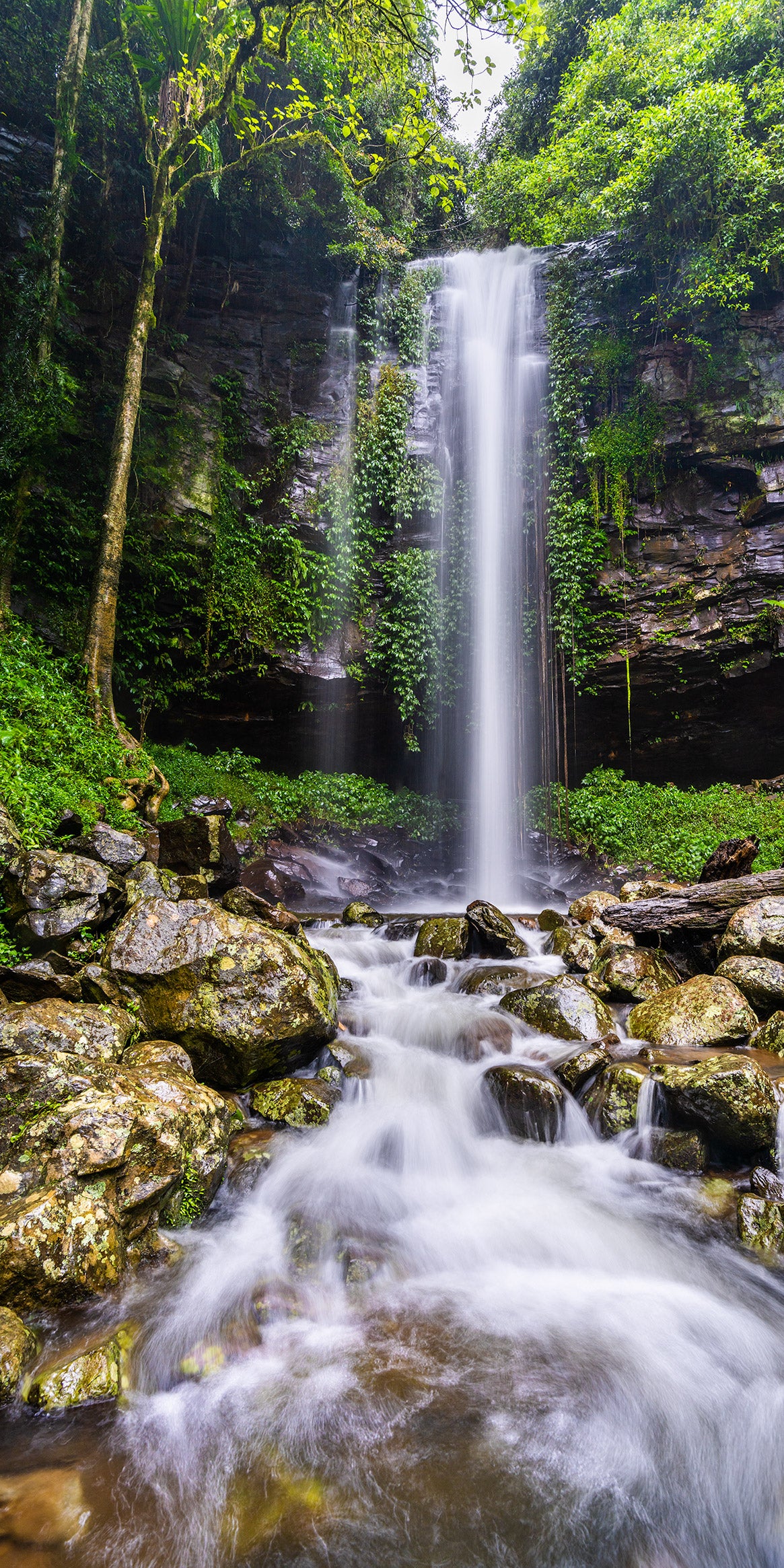 Crystal Shower Falls