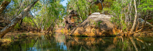 Cobbold Gorge Reflections