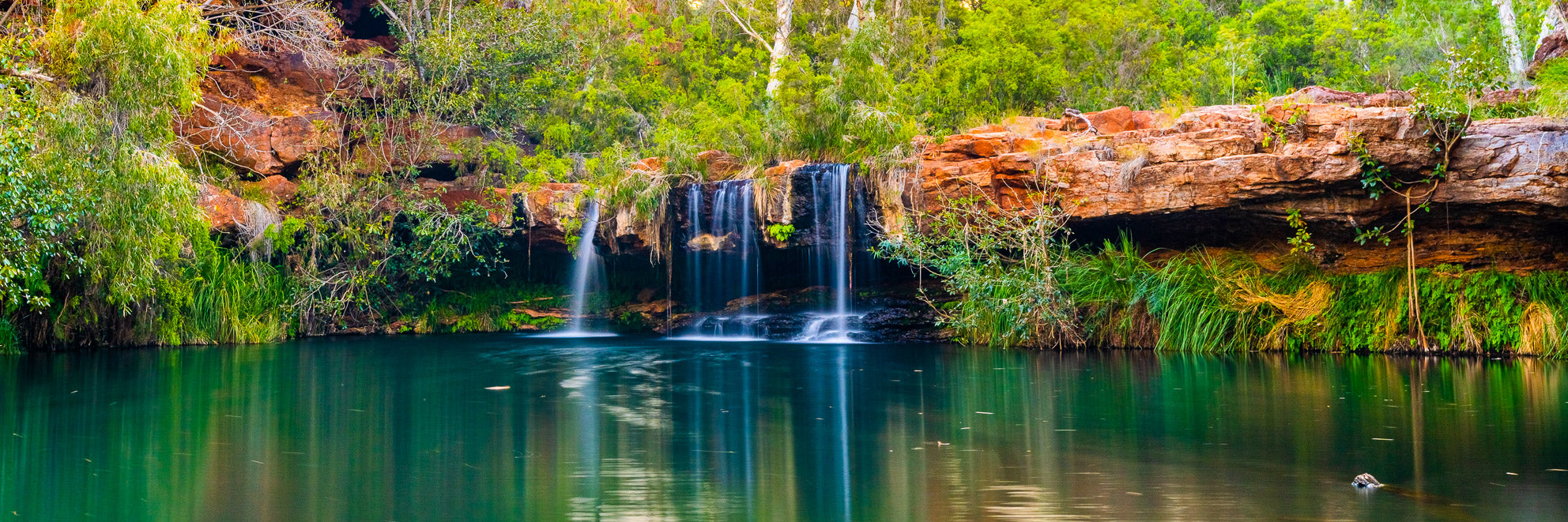 Fern Pool Karijini