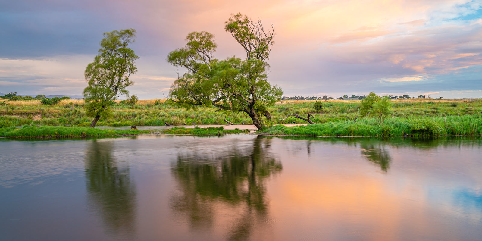Evandale River Sunset
