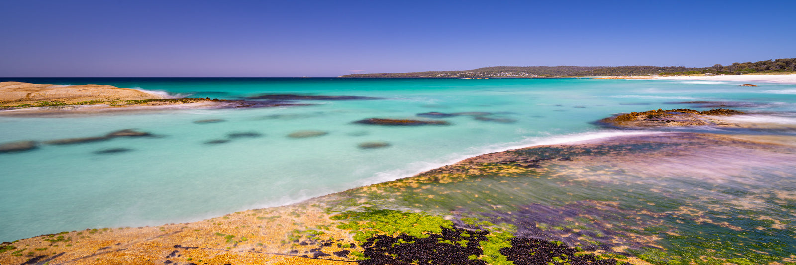 Bay of Fires Blooming