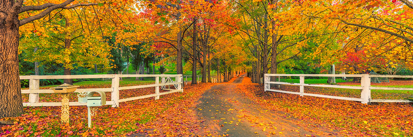 Gates of Autumn