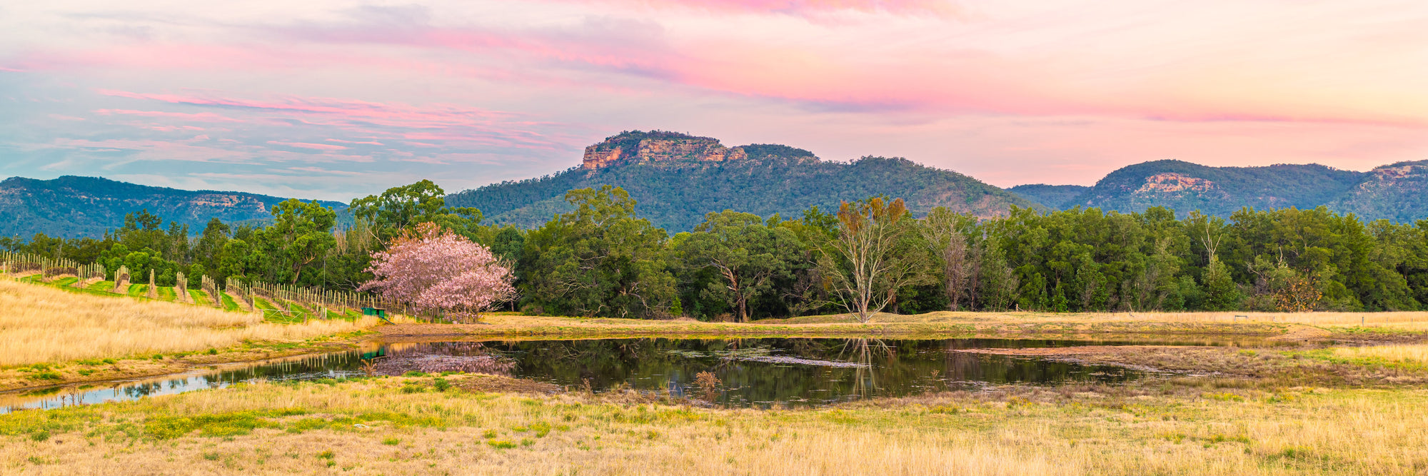 Broke Valley