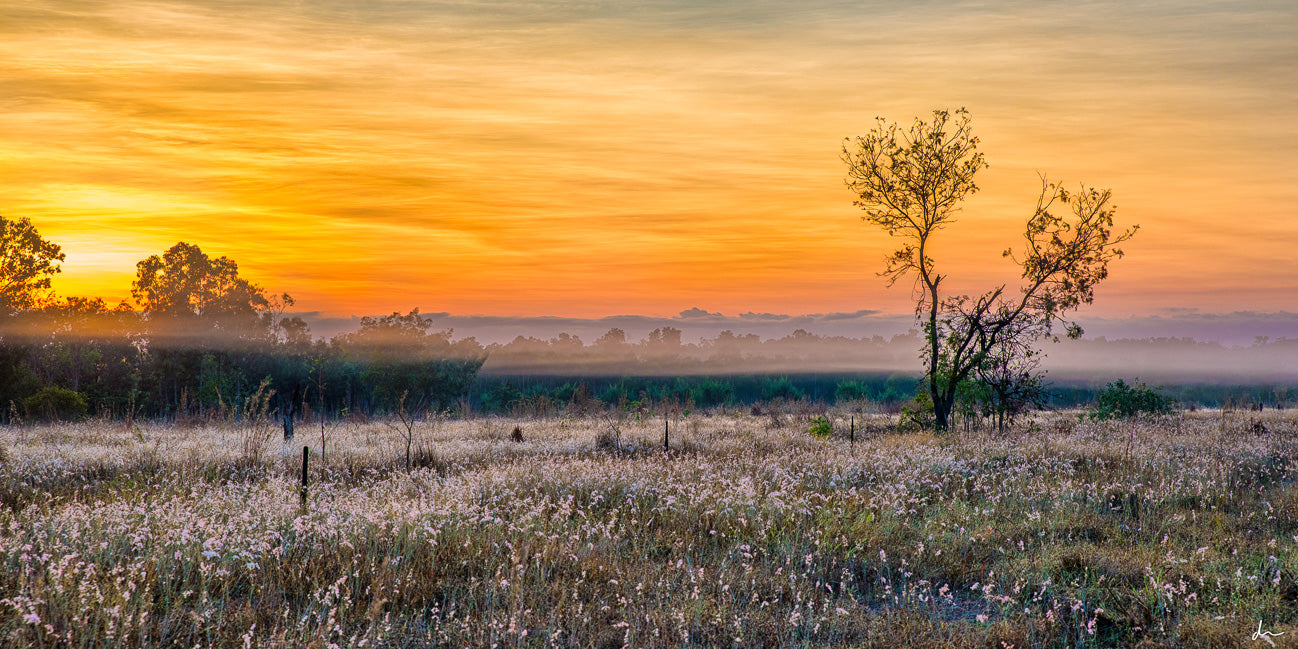 Misty Morning Sunrise