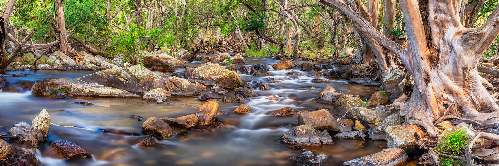 Emerald Creek Stream