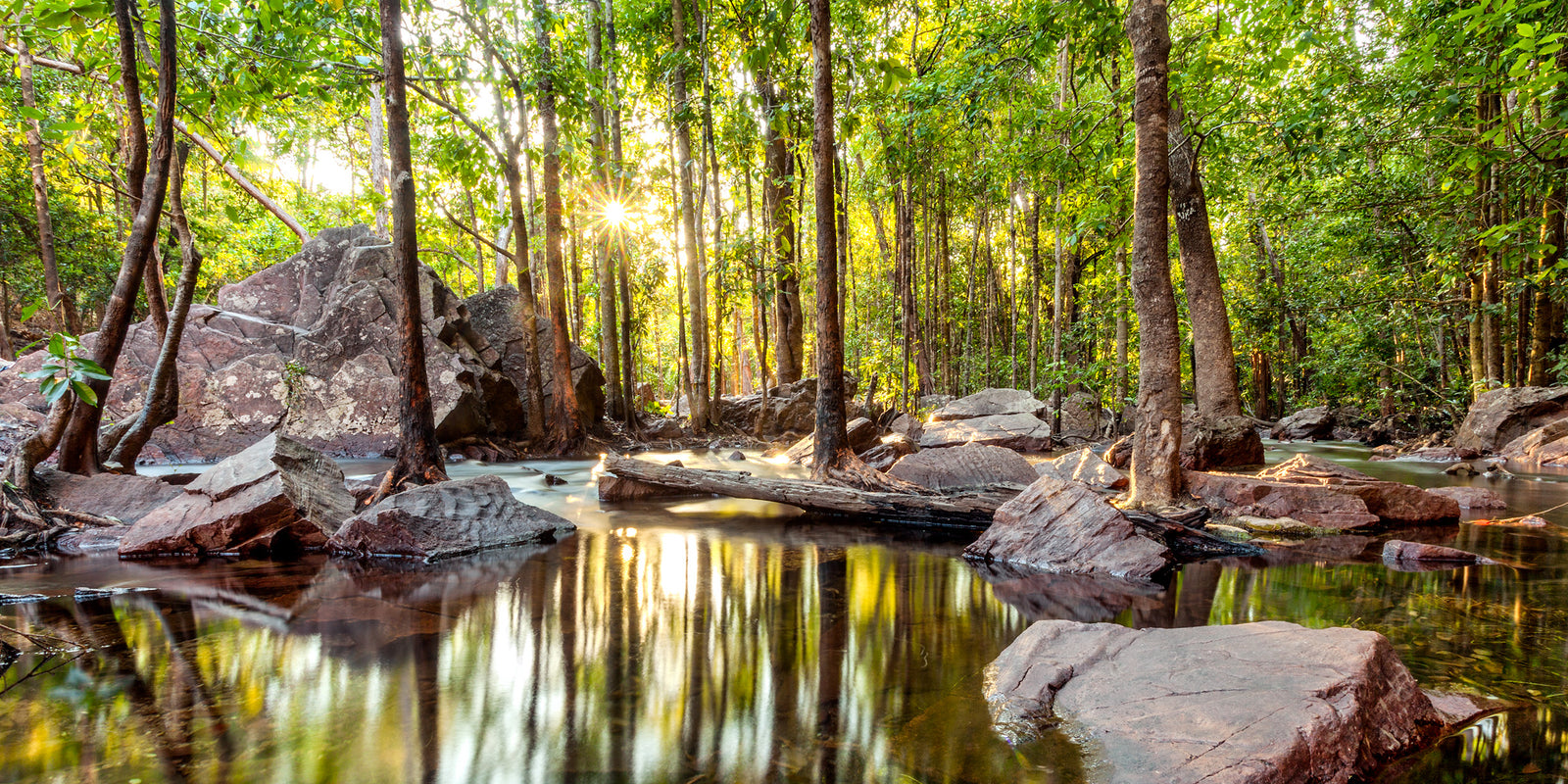 Florence Falls Sunset