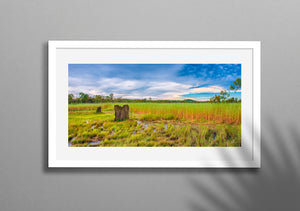 Magnetic Termite Mounds