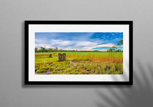 Magnetic Termite Mounds