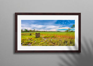 Magnetic Termite Mounds