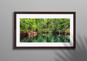 Swimming Hole, Berry Springs