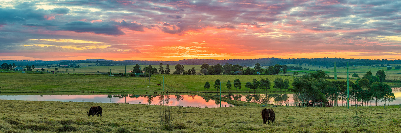 Gillieston Grazing