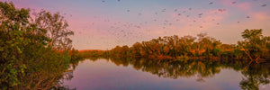 Katherine River Sunrise