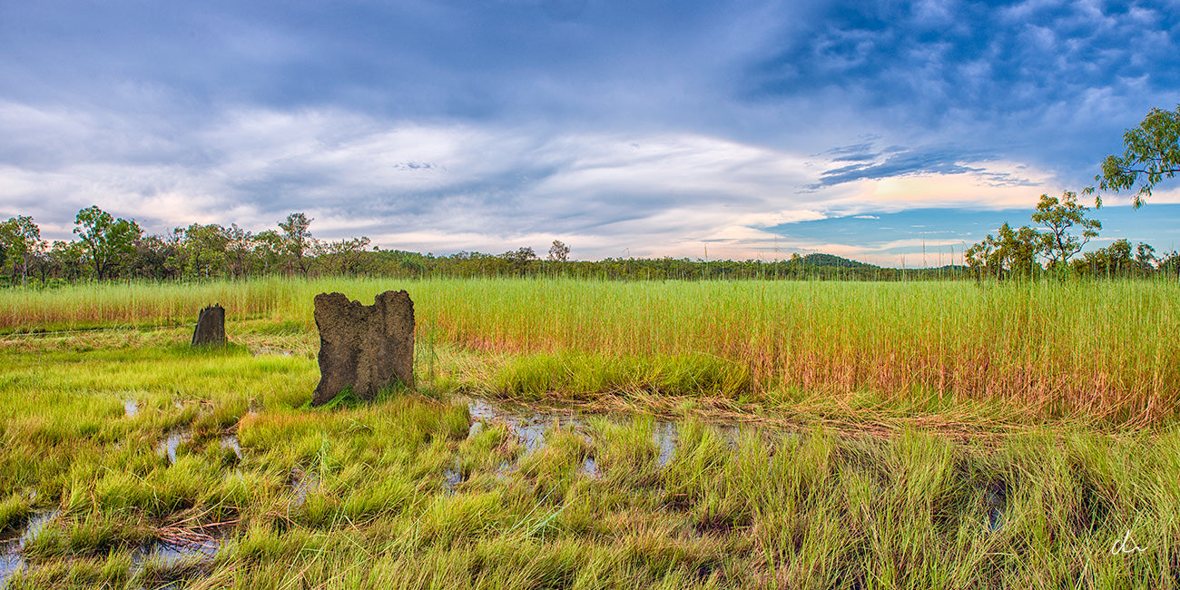 Magnetic Termite Mounds