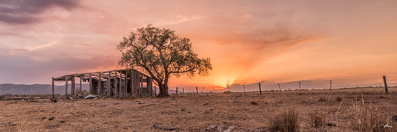 The Old Hunter Valley
