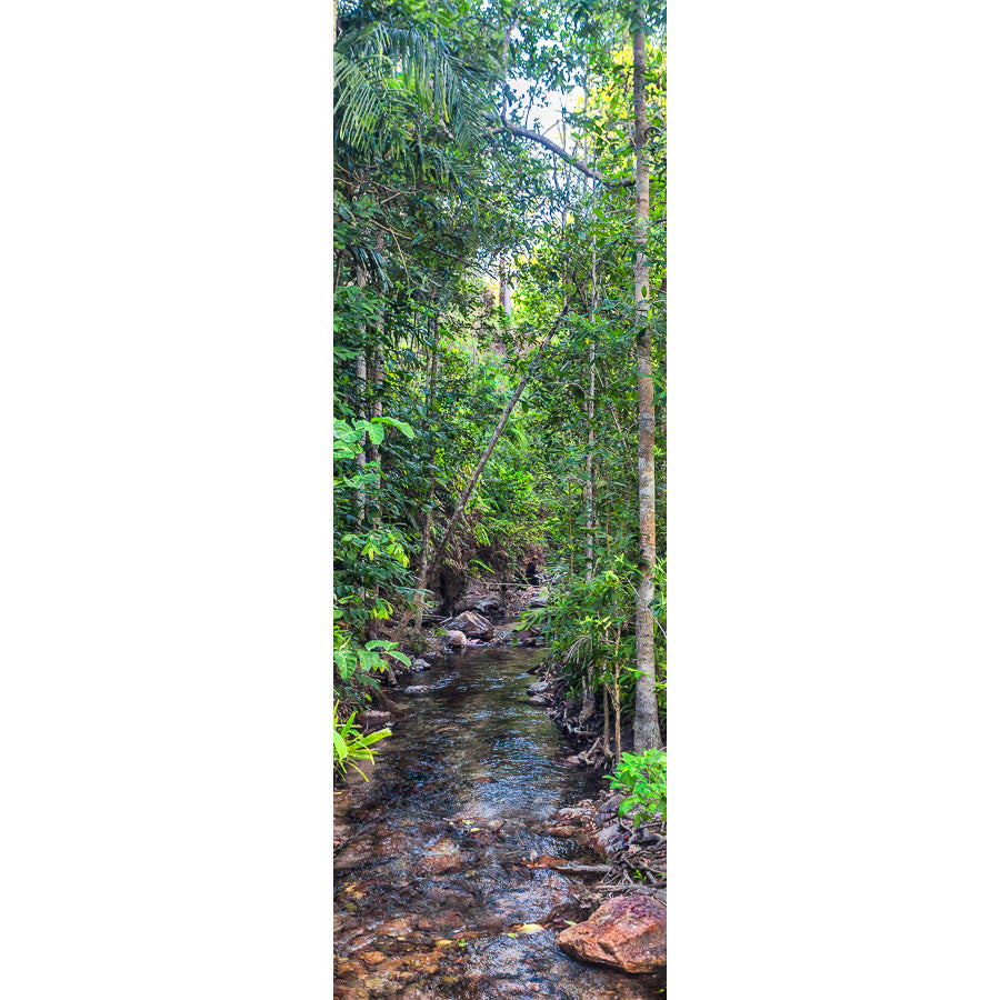 Tropical Creek