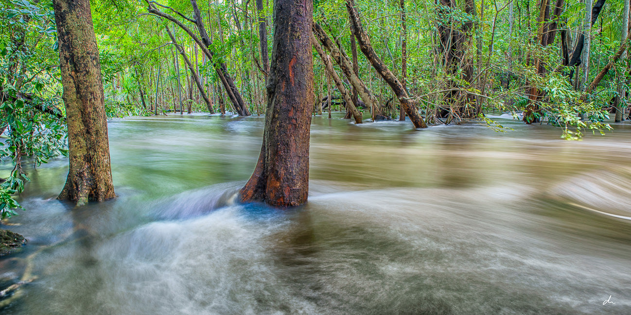 Wet Season Rush